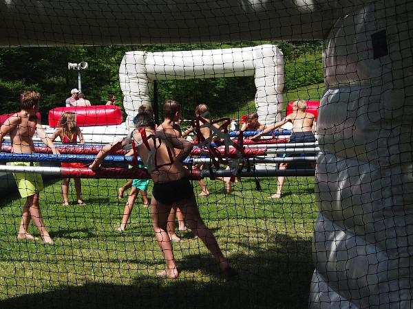 Foto: Dr. Klemens Neumann