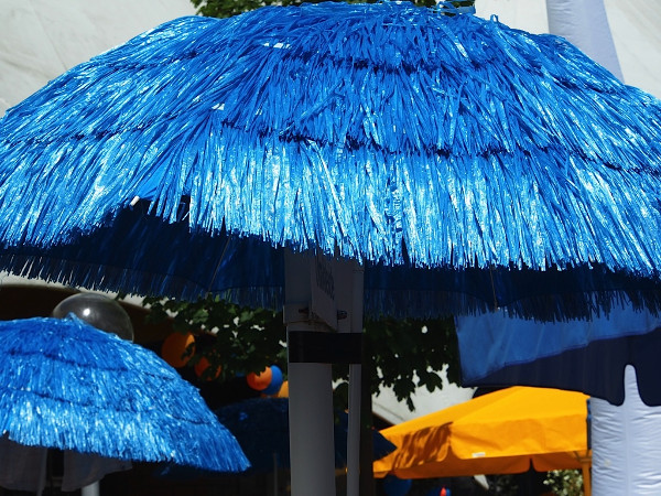 Foto: Dr. Klemens Neumann